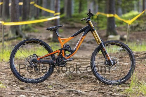 Polygon Collosus DH9 fiche technique et avis